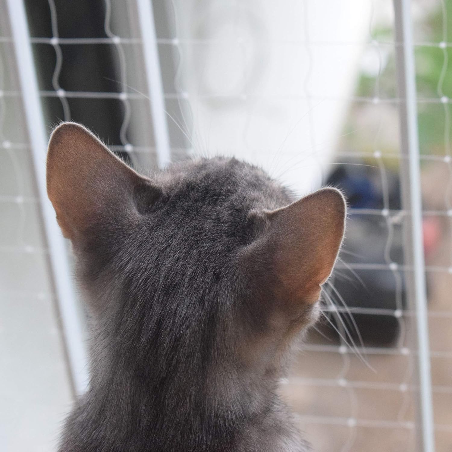 Katzennetz, Balkonnetz for Haustiere, Katzenbalkonnetz, Fallschutznetz, Balkonschutz, Sicherheitsnetz, Nylon-Balkongitter, Zaunnetz for Balkon, Fenster, Treppen, Geländer(10x3M)
