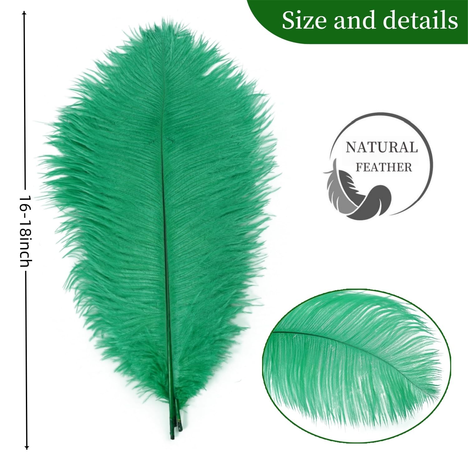 Shekyeon strusie pióro do rękodzieła DIY, zestaw 10 szt., 40–45 cm, 16–18 cali (ciemnozielone)