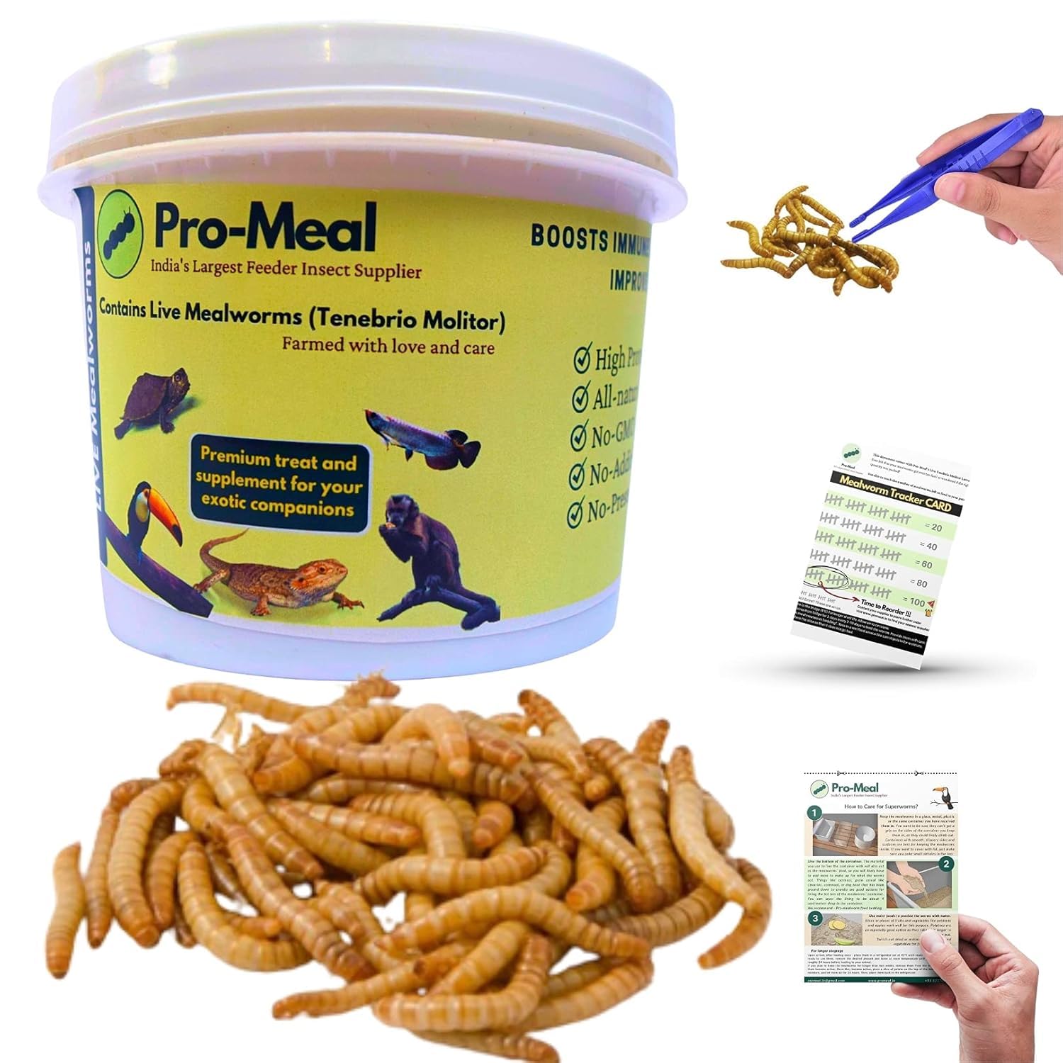 Promeal Live Larvae Mealworms High Protein Treat for Aquarium Fishes, Birds, Reptiles, Monkeys & Exotic Pets (100 Mealworms) All Life Stages