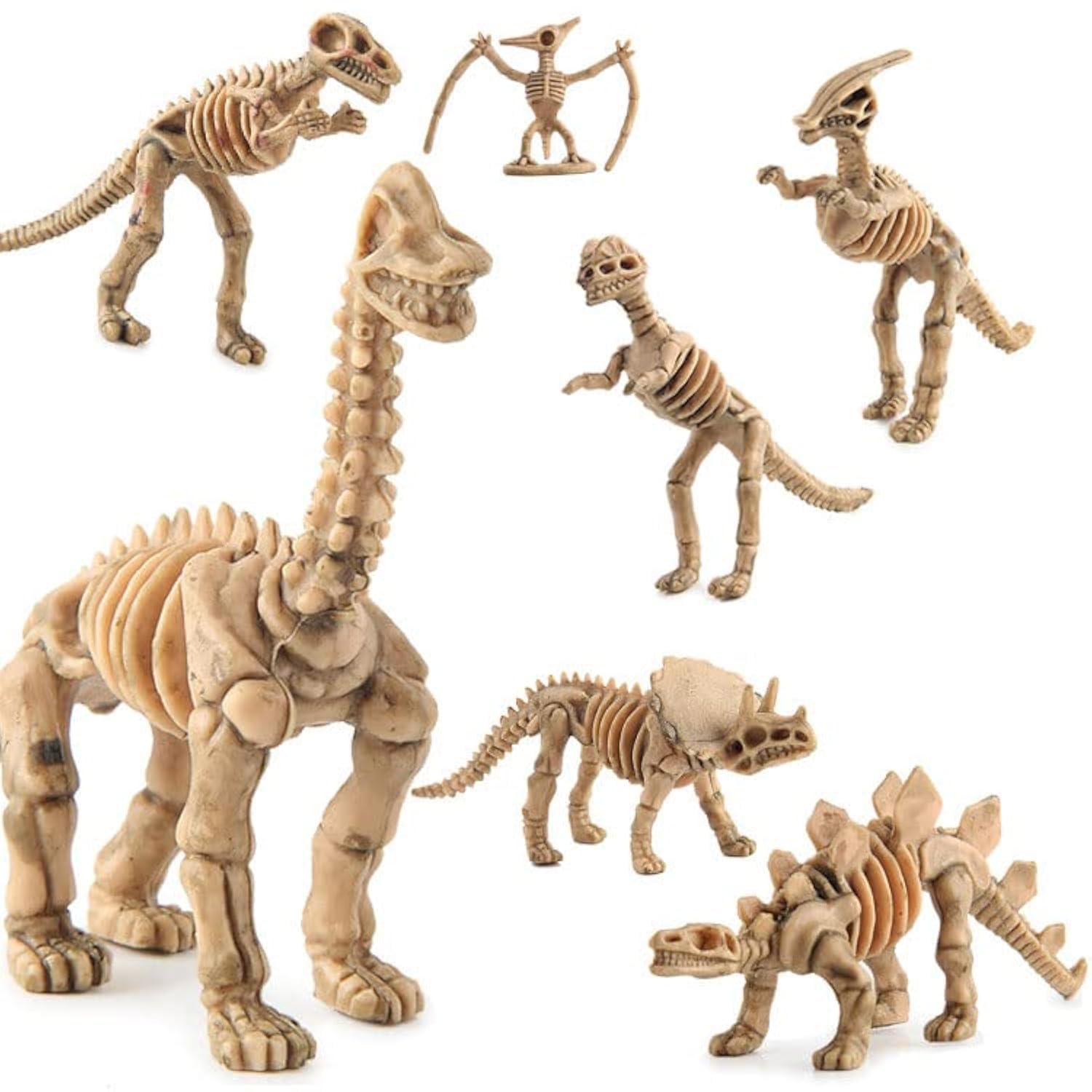 MILISTEN Dinosaurier-Skelett-Modell Set – 12-teilig, Kunststoff, Zum Zusammenbauen, Für Kinder & Sammler