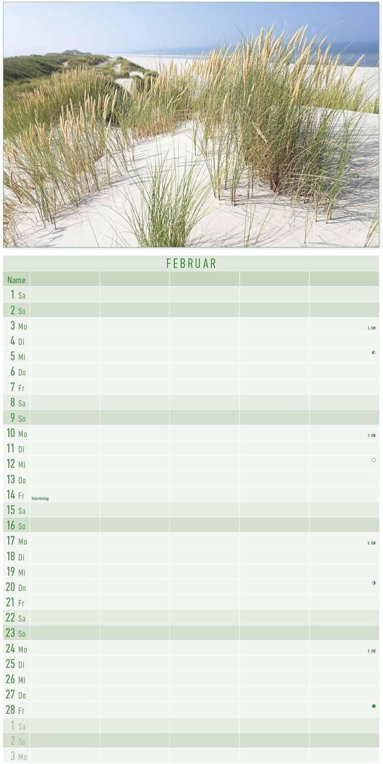 Alpha Edition - 2025 Family Planner: 5-Column, 100-Year & Pollen Flight Calendar, German Holidays DE/AT/CH, 45 cm x 22 cm
