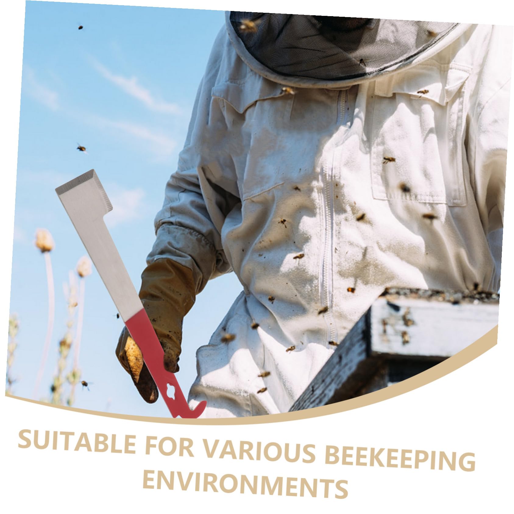 SUPVOX 5 Pièces Outils D'apiculture Cadre Kit D'apiculture