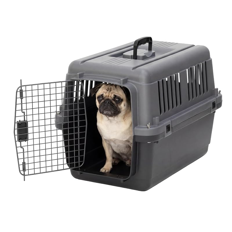 Caixa de transporte rígida para cães pequenos, plástico resistente SportPet Designs, sem rodas, 60,96 cm