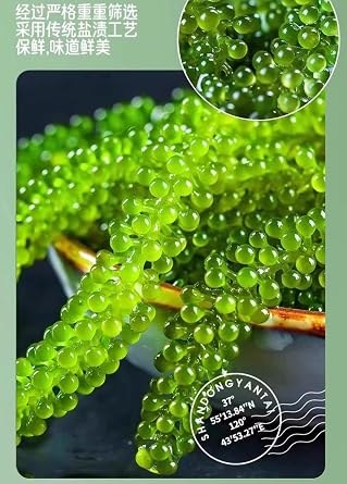 Instant Sea Grapes, Delicious Seaweed Snacks (100g/bag), Seaweed Salad, Healthy Cold Dishes, Kimchi, Casual Snacks, Nutritious Sea Grapes (3 Bags)
