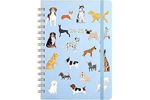 Clementine Planner 2023-2024: A Comprehensive Agenda for Dynamic Organization