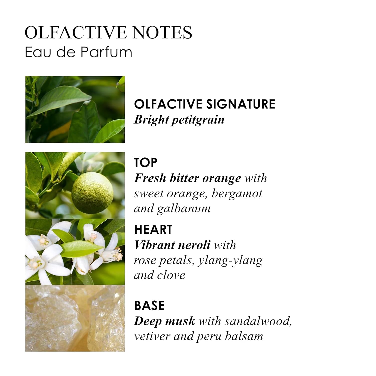 Molton Brown Orange & Bergamot Christmas Cracker - Eau de Toilette 0.25 fl. oz. & Body Wash 1.7 fl. oz. Luxury Scented Body Care Beauty Gift Set - Image 4