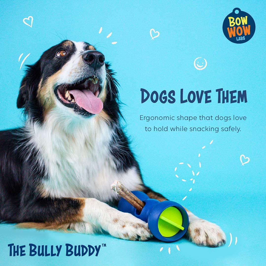 Bow Wow Labs Bully Buddy Safety Device Bully Stick Holder for Dogs Buy Online in Kuwait at