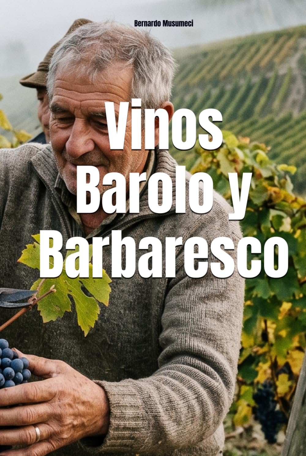 Vinos Barolo y Barbaresco (Wines of the World: Italy)