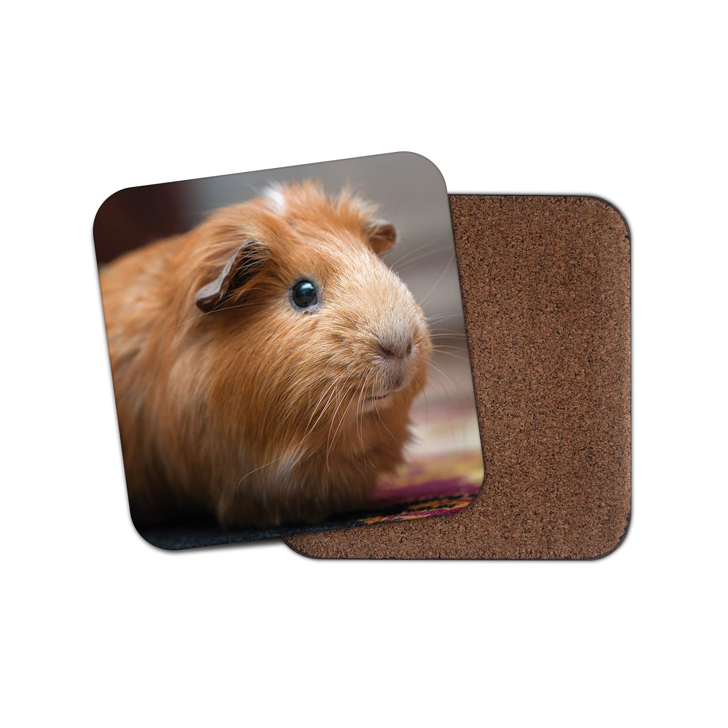 Destinationvinyl Multicolor 1 X Cute Ginger Guinea Pig Coaster - Pet Animal Rodent Rat Mice Fluffy #15256