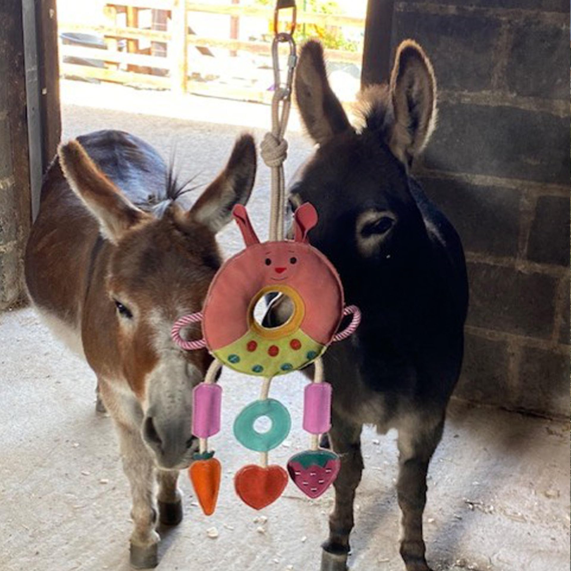 Ruggles Juguete estable para caballos | Aburrimiento para caballo pony burro (anillo múltiple)