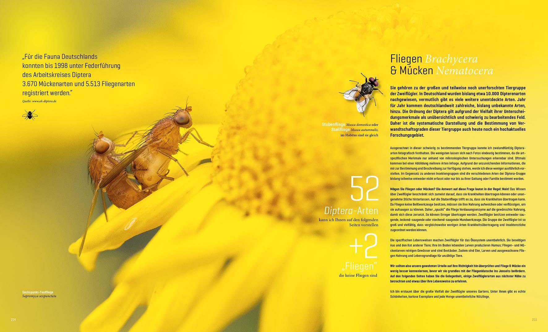 Mein Artenretter Garten: Mit den richtigen Pflanzen & Strukturen die Insektenvielfalt fördern