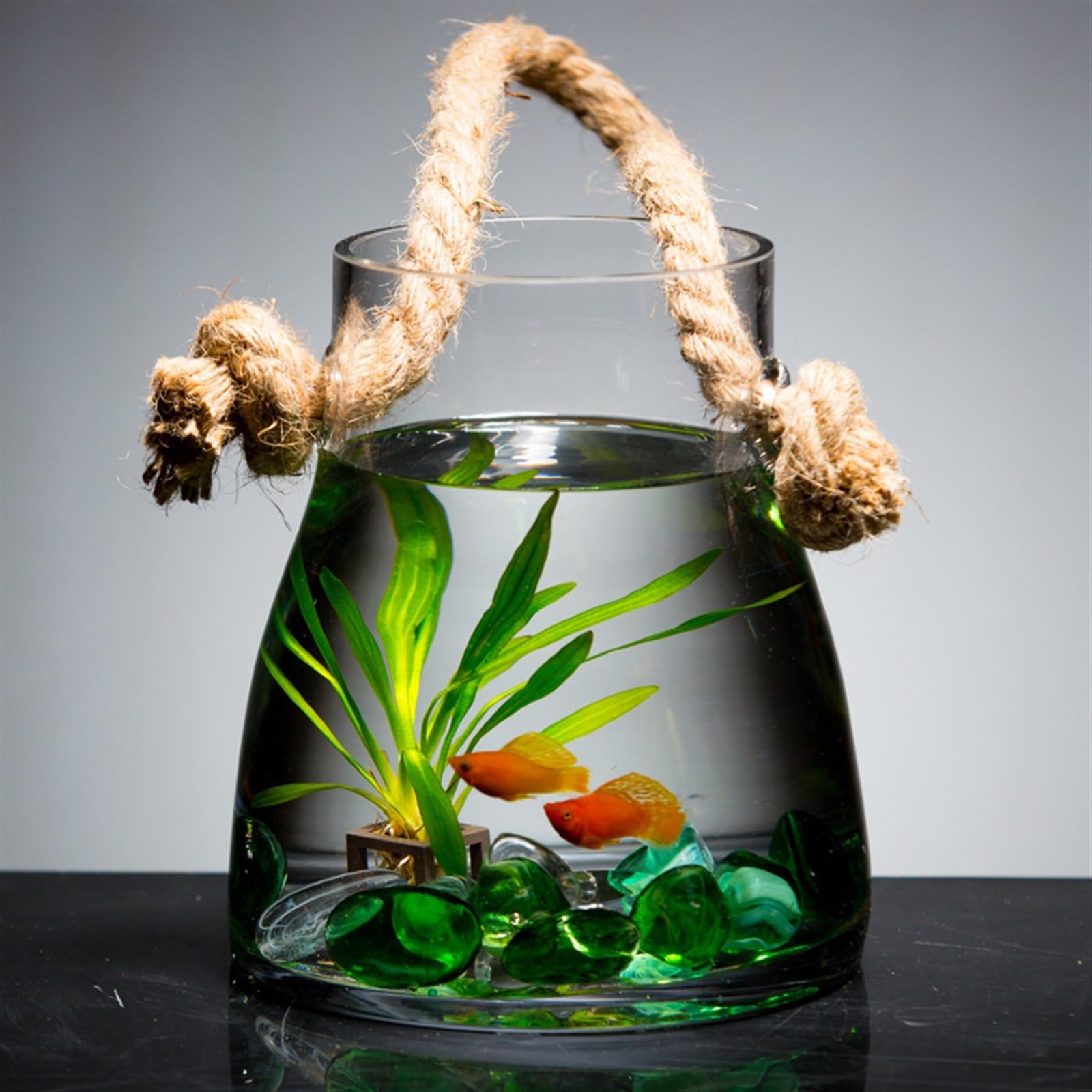 Mały Hanging Indoor Outdoor Fish Tank Living Room Small Wall-mounted Goldfish Aquarium Glass Aquarium Ecological Decorative Creative Fish Tanks Złota rybka