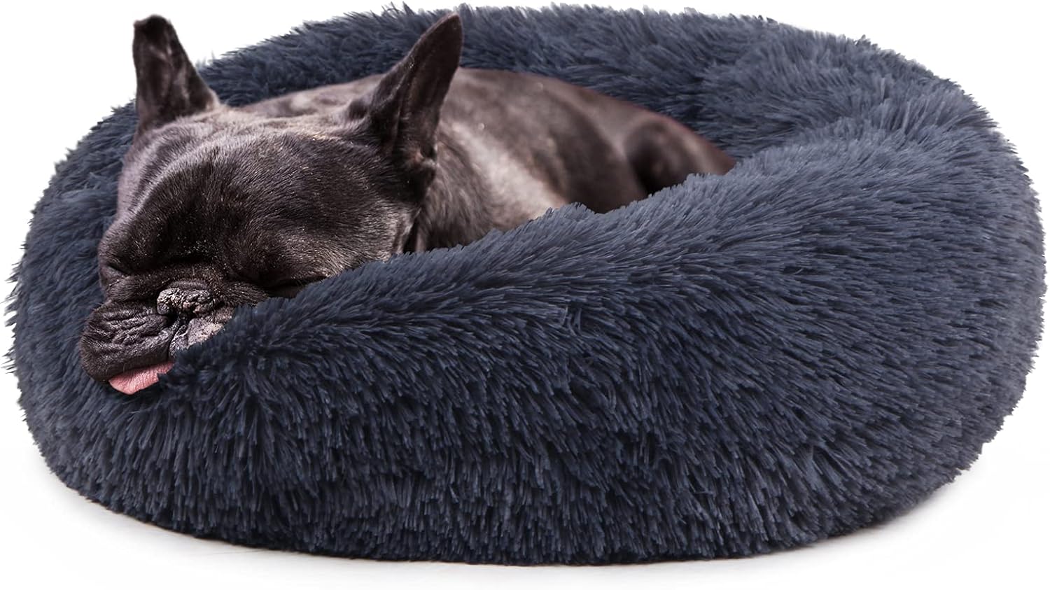 dog bed small breed