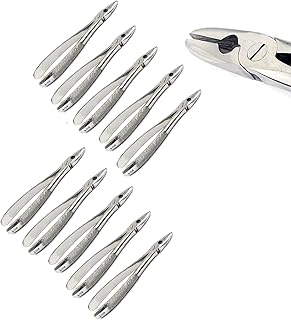 AA PRO 10Ã— Dental EXTRACTING Mead Forceps MD1 Upper INCISORS Teeth Instruments A+ Quality