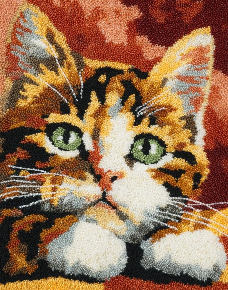 FWRTYCB Latch Hook Rug Kits,Tabby Cat