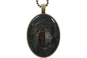 Vintage Scorpion Necklace Taxidermy Insect Pendant Jewelry