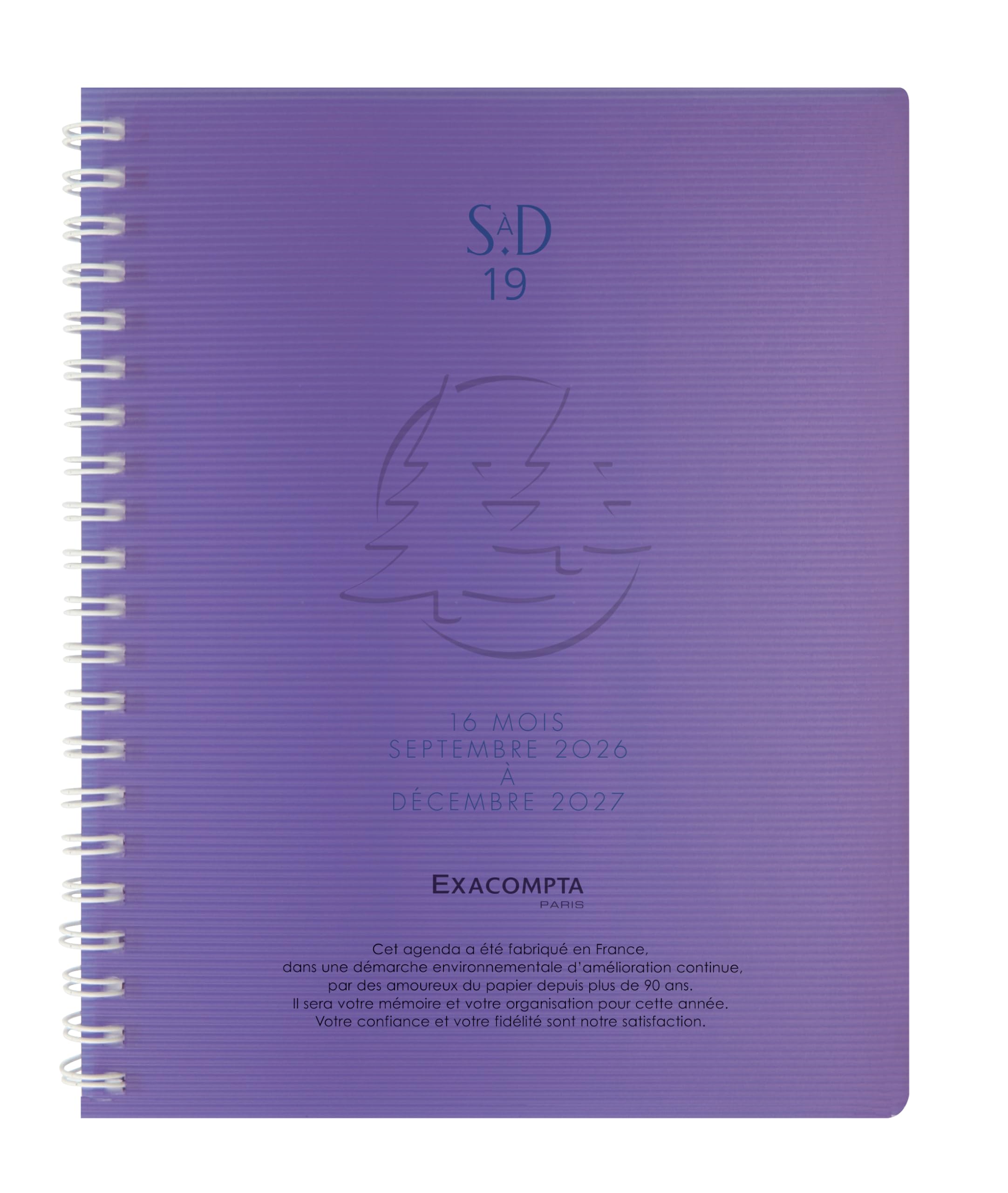 Exacompta Linicolor Sad 19 W Academic Desk Diary Spiral Diary December 2018 September 2017 Metal Random Colour)