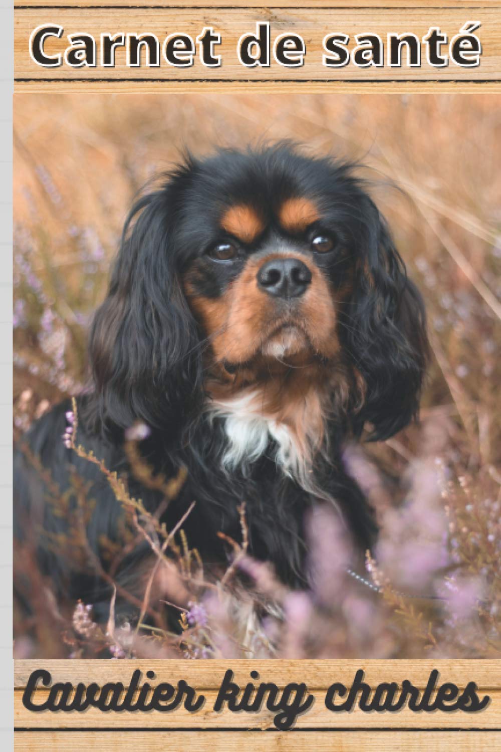 CARNET DE SANTE CAVALIER KING CHARLES: Mon cahier de suivi santé chien Cavalier king charles à remplir ou compléter | Mon carnet santé chien | ... Format: 15,24 cm sur 22,86 cm 101 pages