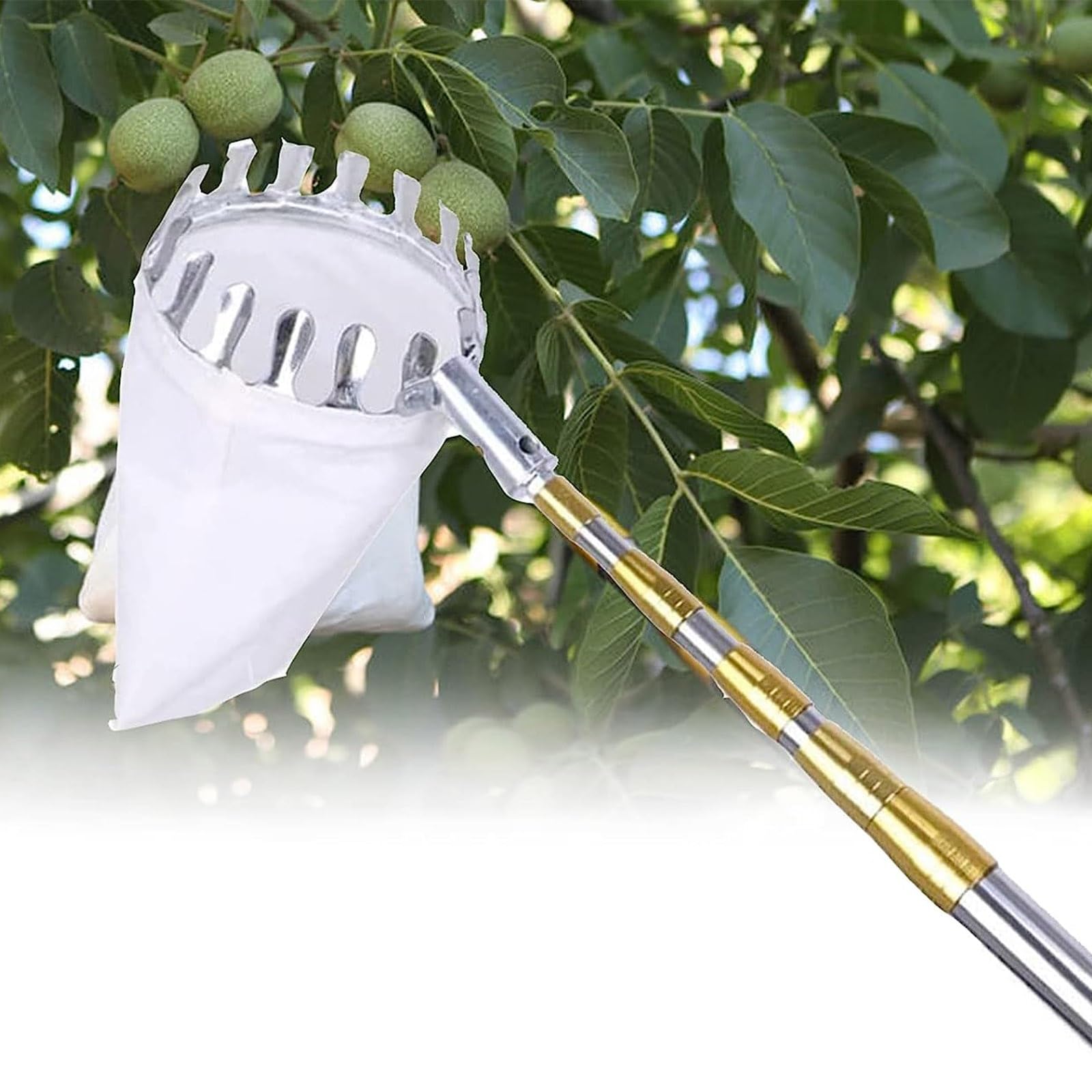 ApfelpflüCker Mit Teleskopstiel 2.1/2.5/3/ 4/5/ 6/7 M, ApfelpflüCker, ObstpflüCkausrüStung Beerenpflücker Mit Obst Aufbewahrungstasche Für Apfel Orange Zitrone,7m/23ft(4m/13ft)
