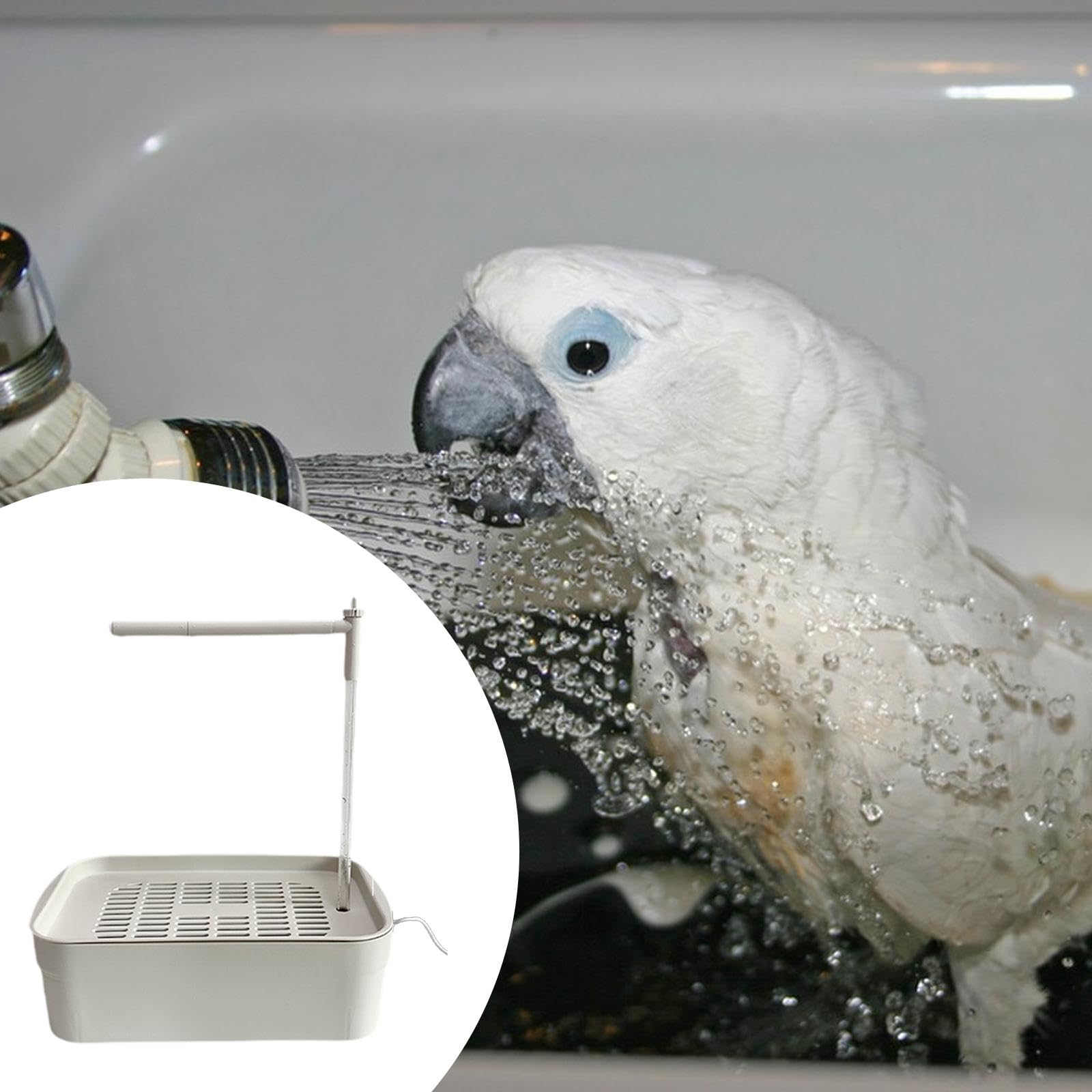 de baño automático para pájaros, Incluye Ducha y Fuente de Agua, Blanco, L