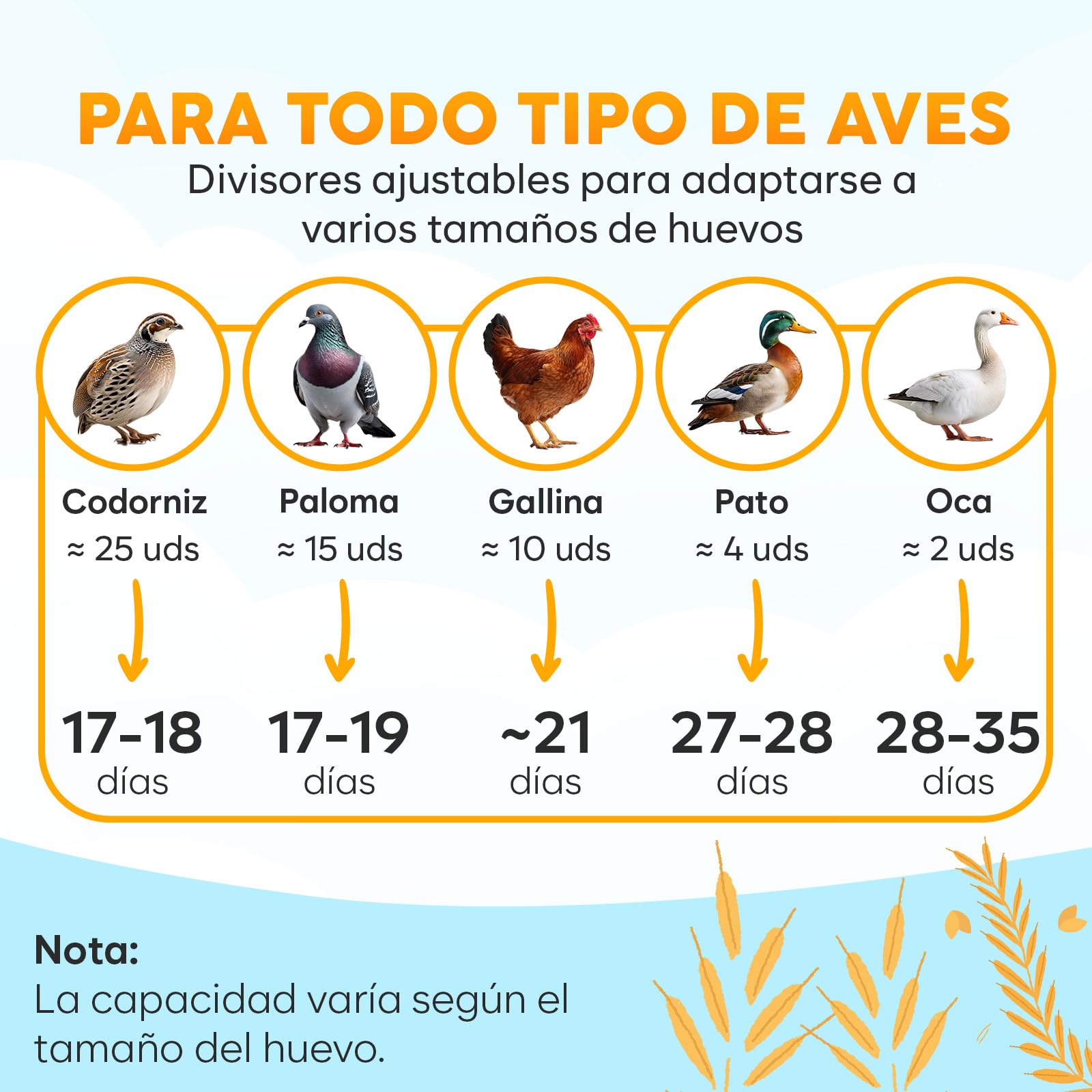 Incubadora de Huevos Automática 18 Huevos – Incubadora con Giro Automático, Control de Humedad, Botellas de Agua, Ventilación, Vista 360° y Luz para Revisar Huevos | Alarma de temperatura con ventilador interno, mire-huevo incorporado, vista de 360 grados