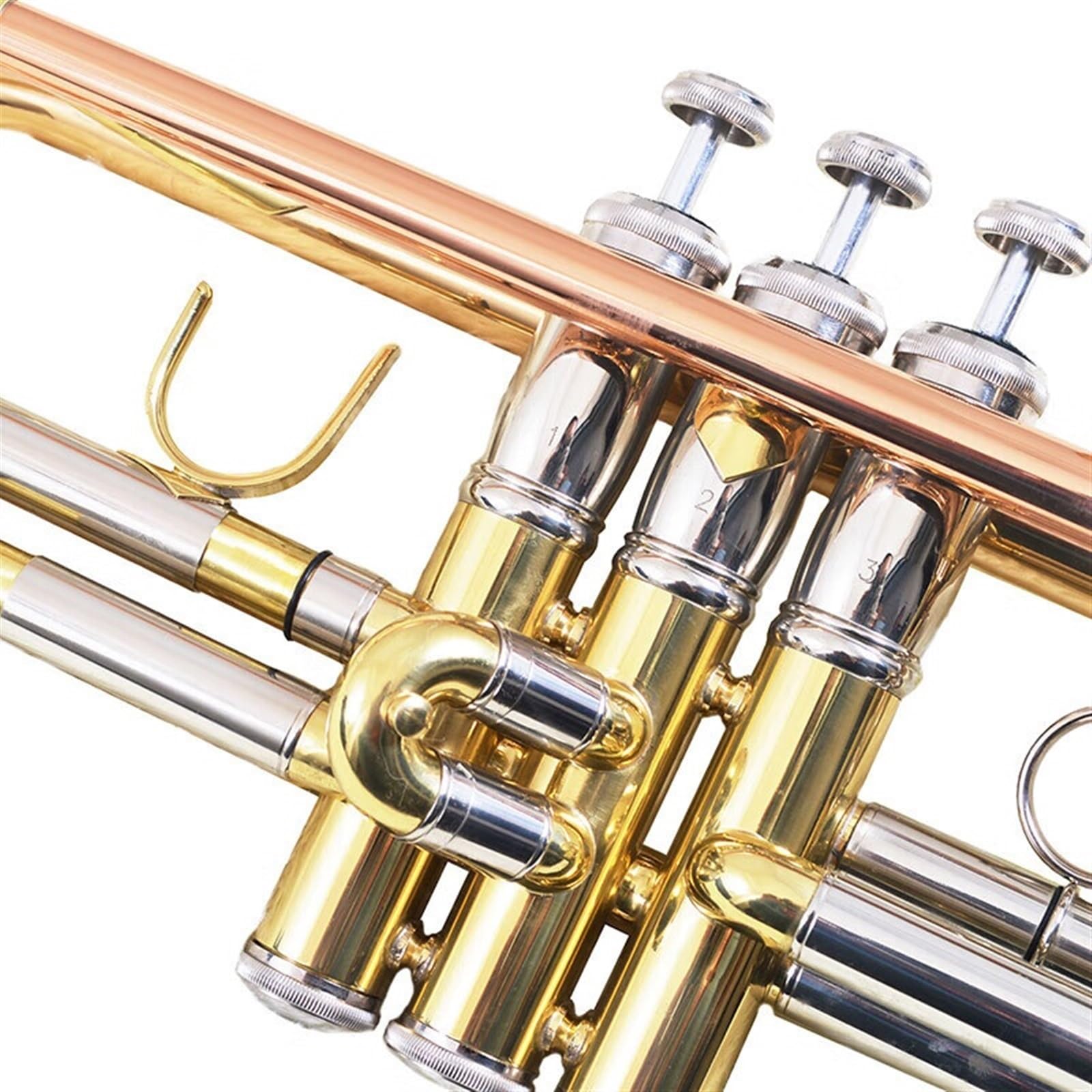 trompeta estándar Instrumento de trompeta Si bemol estudiante toca instrumentos de viento y metal para examen de grado