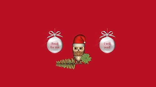 Rocky Owl's Christmas Story