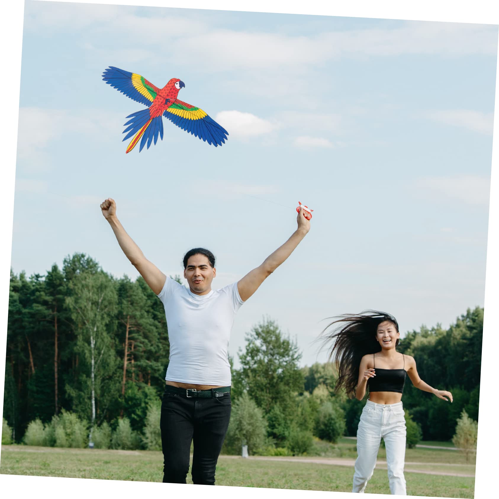 ORFOFE Fishing Rod Kite Bright Vivid Cartoon Kite Perfect for 8-12 Year Adults