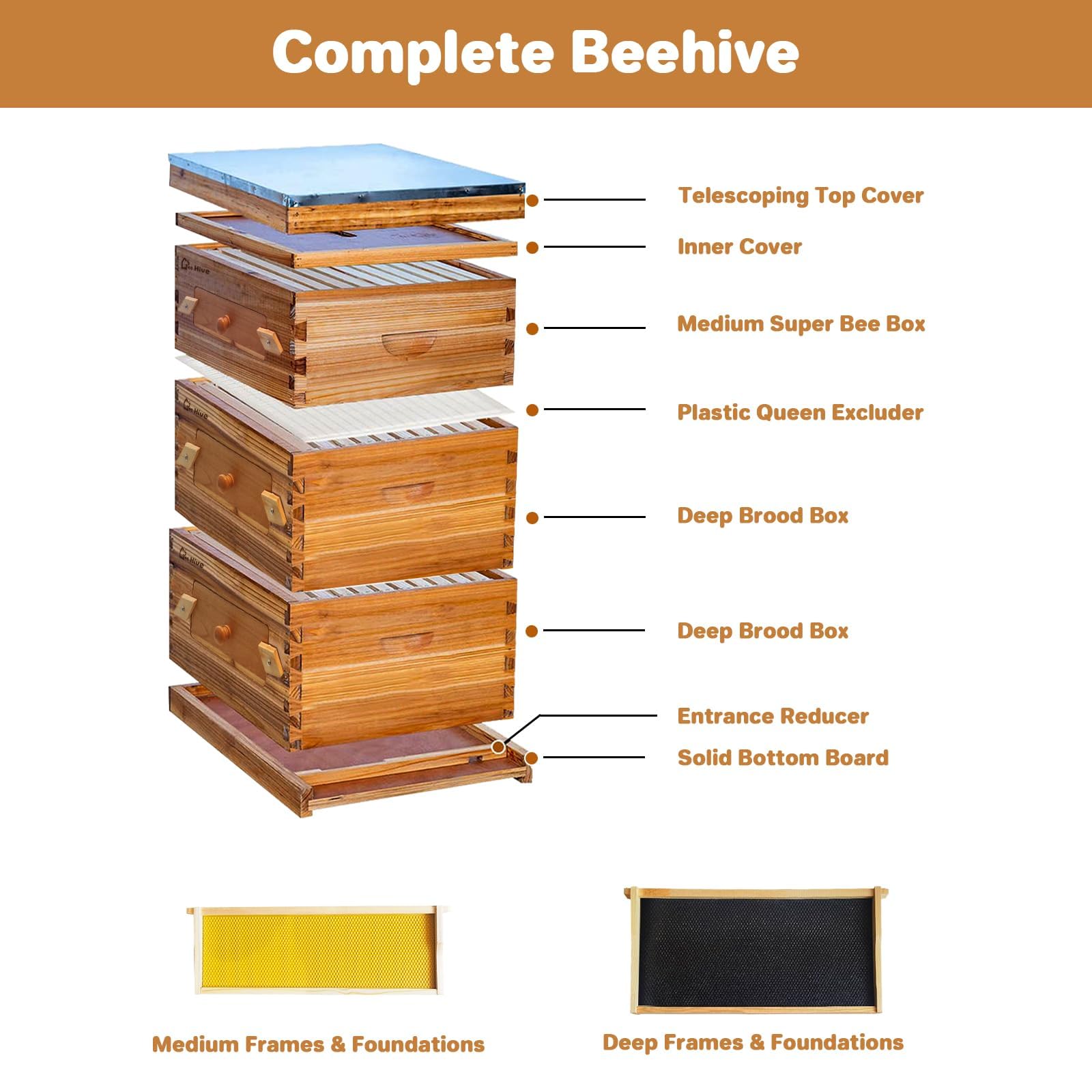 Garvee Kit complet ruche Langstroth 10 cadres pour apiculture – 2 corps profonds, 1 hausse moyenne, fenêtres acryliques, cadres et cires inclus – Bois de sapin traditionnel – Traditionnelle ruche en