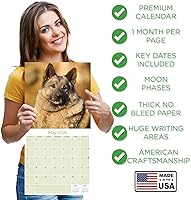 Vista 673 de Razas de Perros 2017