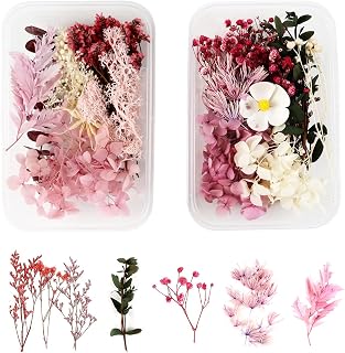 2 Cajas Flores Secas Naturales,Flores Secas Naturales Flor Prensada Mezclada Bricolaje Decoraciones Flores Secas, para Bricolaje Fabricación Velas Tarjetas Álbum Recorte Decoración (Rosa roja)