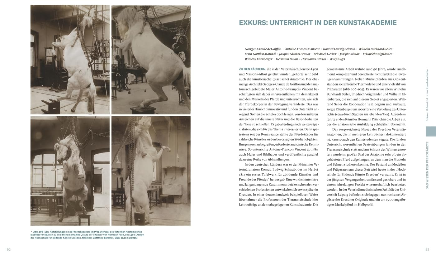 Von der Schönheit und den Leiden der Pferde: Begleitband zur Ausstellung in Leipzig