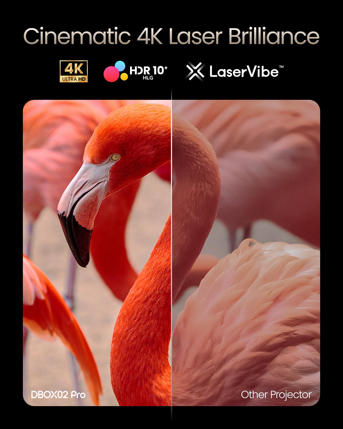 Dangbei DBOX02 Pro 4K Beamer mit Google TV & Netflix, 2000 ISO Lumen, HDR10+, Dolby Audio, 3D Ready, Auto Keystone/Fokus, 300" Bild, WiFi & Bluetooth – Videoprojektor Heimkino für Wohnzimmer & Garten