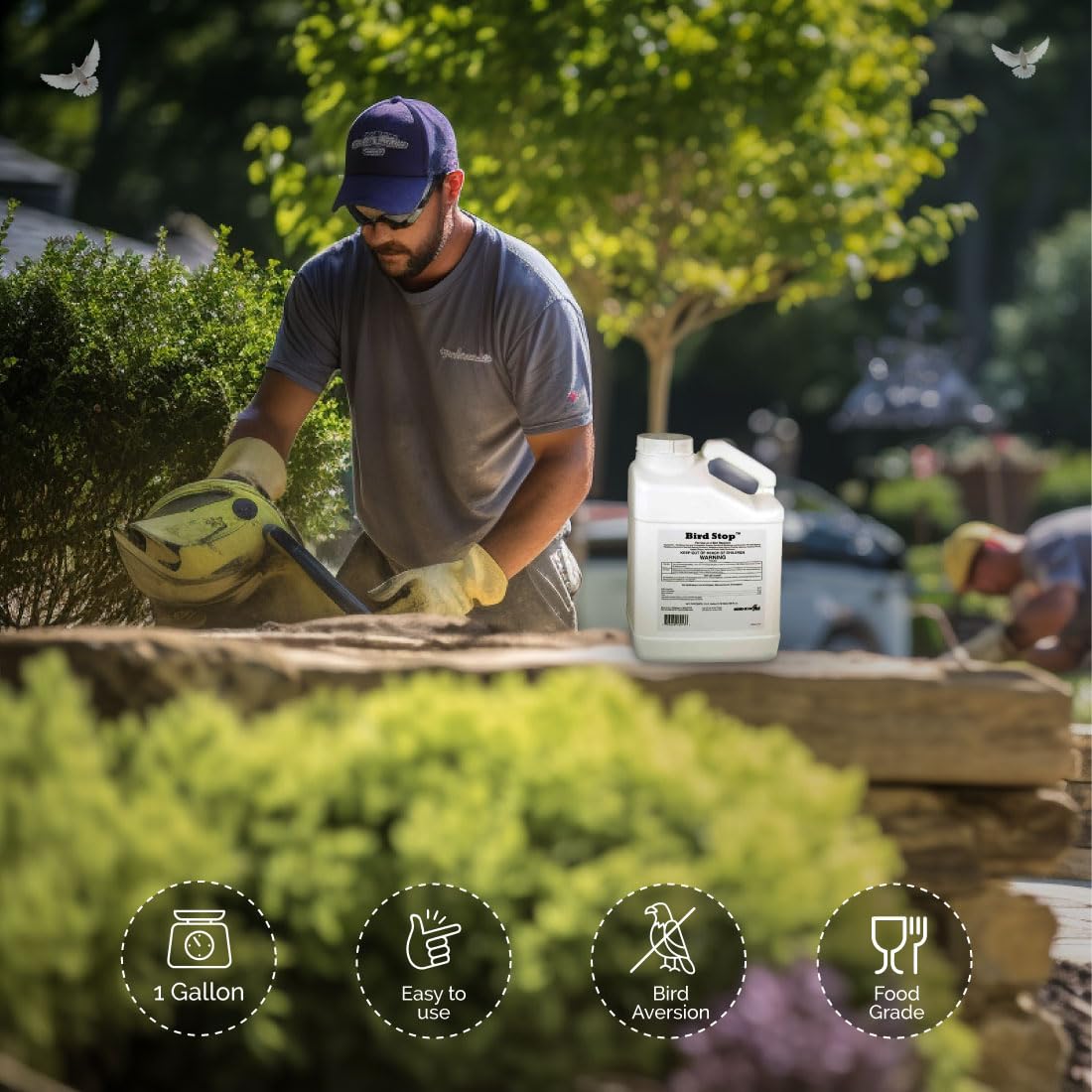 Bird-X Bird Stop Liquid, Invisible and Effective Bird Removal Liquid, Keep Birds Away, Contains Methyl Anthranilate, Easy to Apply, BS-GAL, 1-Gallon