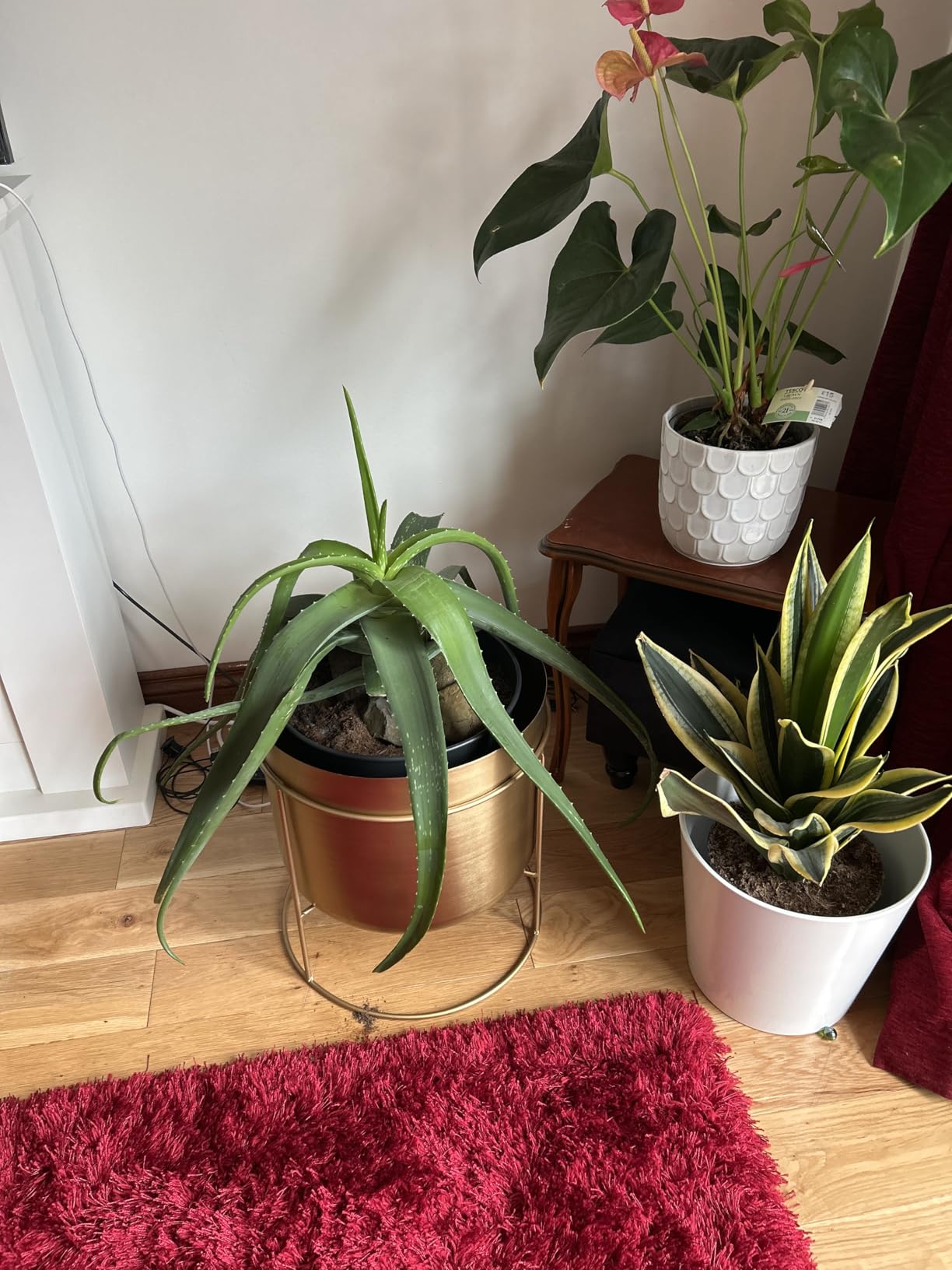 Customer photo