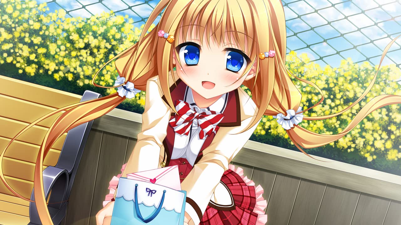 花咲ワークスプリング！ 完全生産限定版 -Switch 【特典】アクリルレイヤーフレーム(3層) 同梱