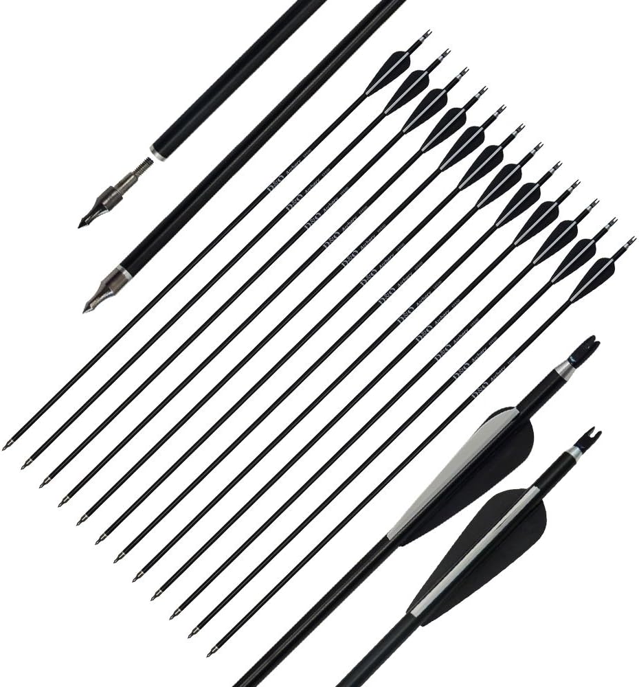 D&QAluminum Arrows 31 Inch with Fletched 3 Inch Feather Vane Screw-in Field Points Replaceable Tips Adjustable Nocks for Recurve Compound Bow Longbow Hunting Shooting Target Practice (Pack of 12)