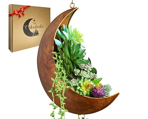 Hanging Moon Planter - Moms Day Gifts for Women -