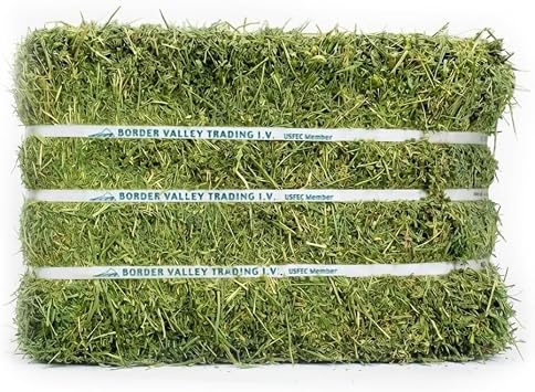 Border Valley Alfalfa Hay for Rabbits, Guinea Pigs & Tortoises, 40 lb Bale