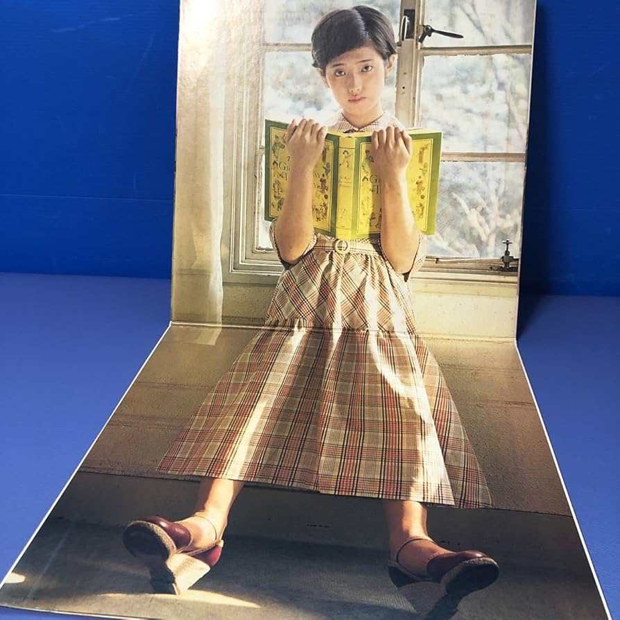 Amazon.co.jp: N 2LP 二枚組 山口百恵 デラックス 見開き