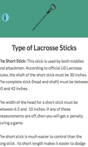 Lacrosse Stick