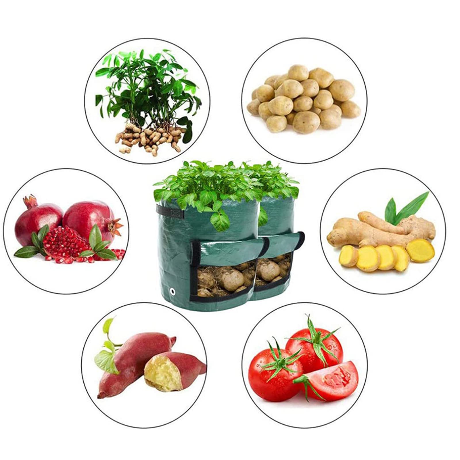 Macetas de Plantación, Paquete de 5 Bolsas de Cultivo de Fresa, PE Bolsa de Planta Transpirables para Jardines, Bolsas de Cultivo de Plantas de Papa para Flores Plantas, 7 gallons