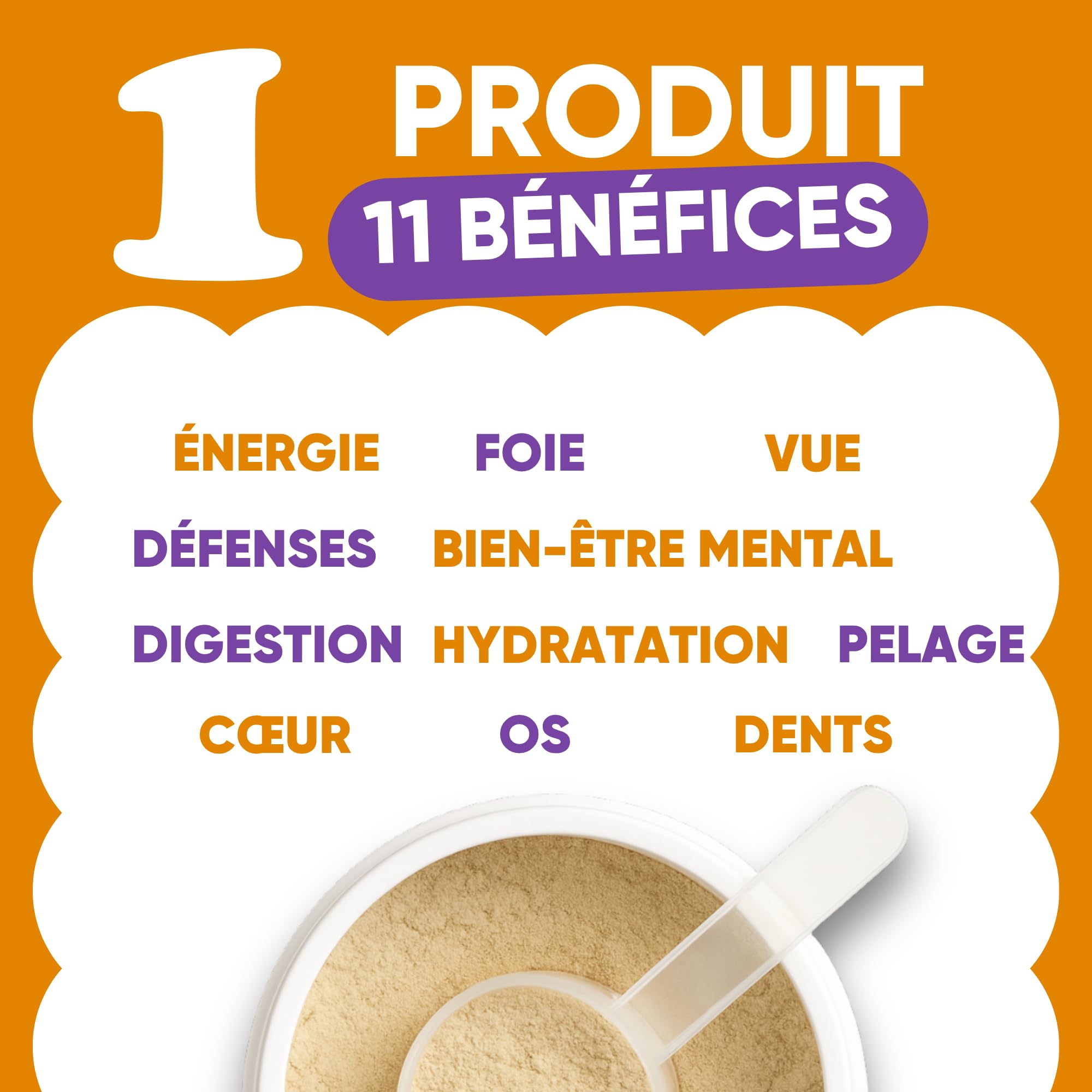Complément Multivitaminé Complet 11 en 1 | Poudre pour Chiens (250g) | 20 Vitamines et Minéraux & Moringa Bio | sans Appétents Animaux | Idéal pour Régime Maison | Fabriqué en Italie - WELLFOOF