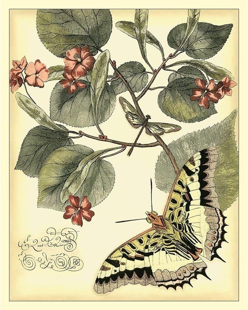 ArtDirect Whimsical Butterflies I Unframed Art Print Giclee Poster by Vision Studio - Ready for Framing with Customization Sizes 8x10, 11x14, 16x20, 24x30, 36x45, and 48x60 Inches