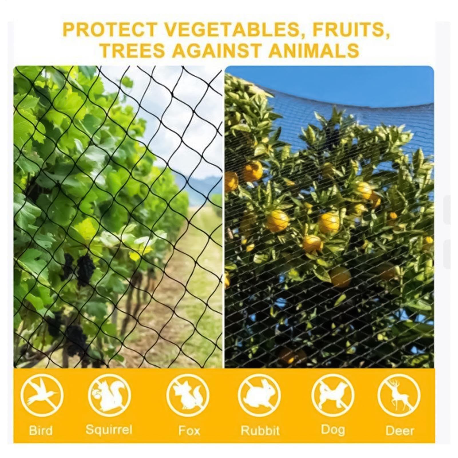 Reu - Red de jardín para proteger árboles frutales y arbustos de bayas, ideal para deportes al aire libre, red de malla para proteger árboles frutales