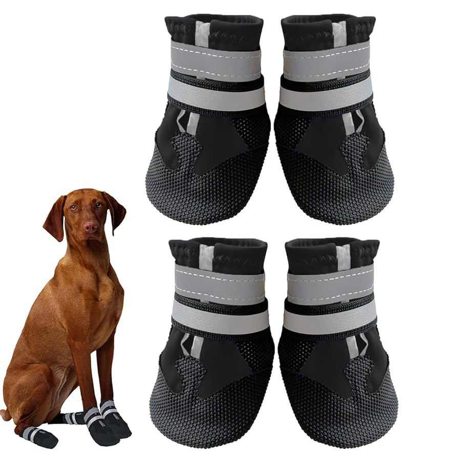 Dog Rain Boots Waterproof LAUHUW For Paw Protection - India Disposable Dog Booties
