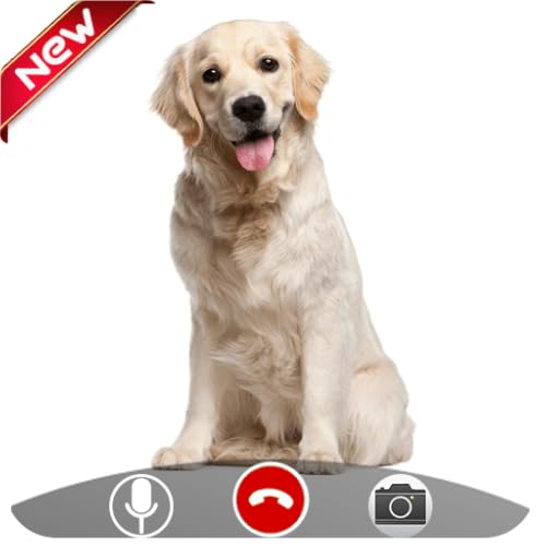 Dog Call - Live Video Fake Phone