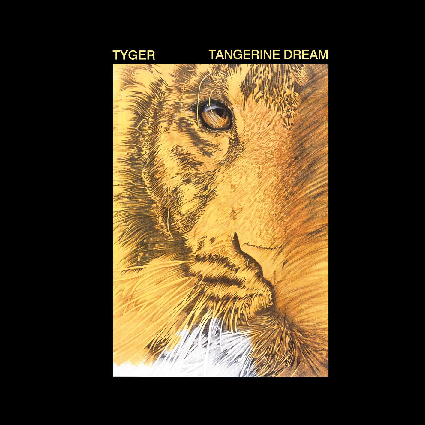 Tyger