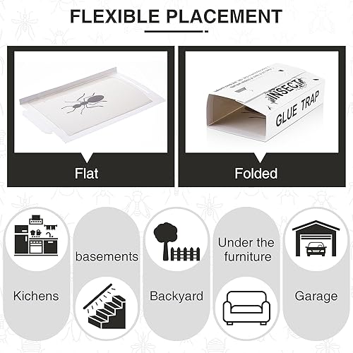 Miniatura 4 de Qualirey Trampas para insectos para interiores, con aroma a mantequilla de maní mejorada, 10 piezas más grandes para insectos, hormigas, arañas,