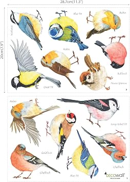 DECOWALL DS2-8038 Little Birds Kids Wall Stickers Wall Decals Peel and Stick Removable Wall Stickers for Kids Nursery Bedroom Living Room (Small) decor